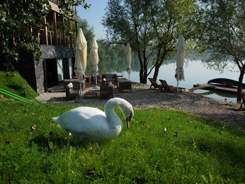 Zagreb Camp Bungalows Rakitje Exterior photo